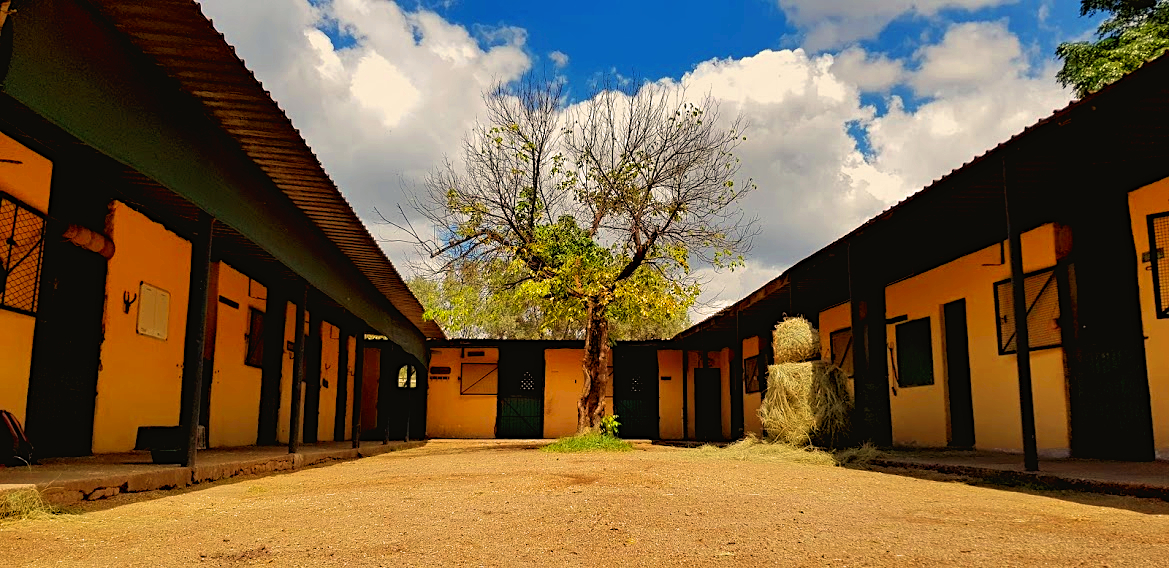 Stable Blocks Stable Blocks